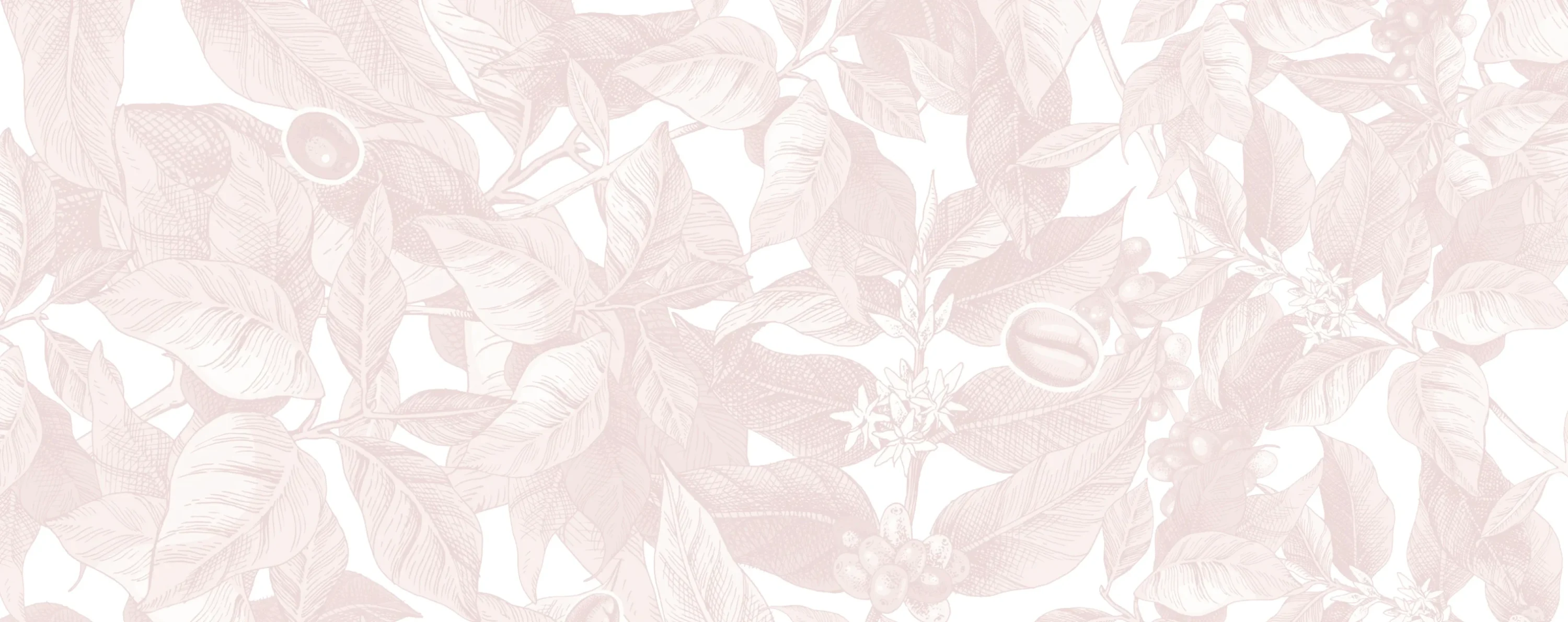 bg-coffee-plant