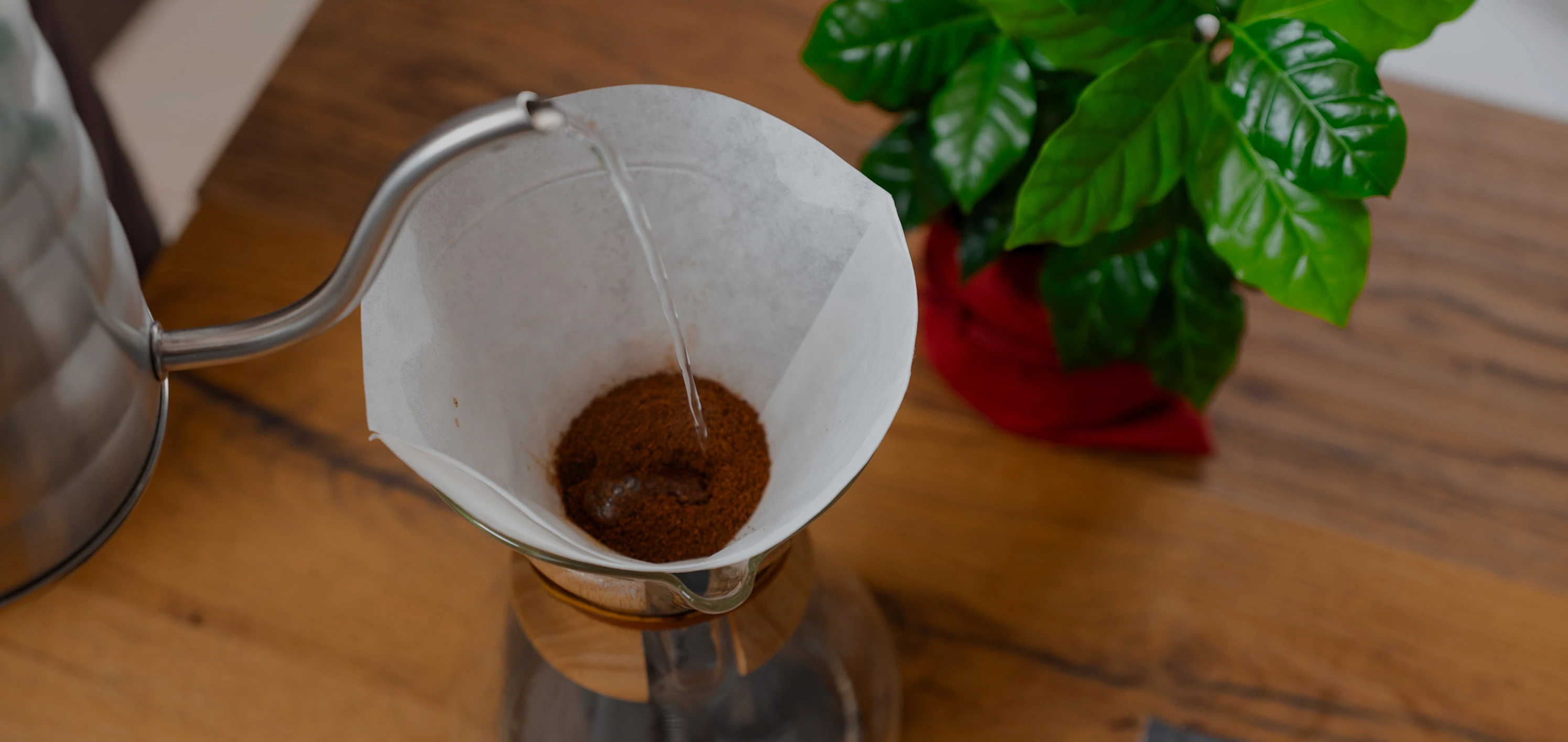 cover_coffeelover