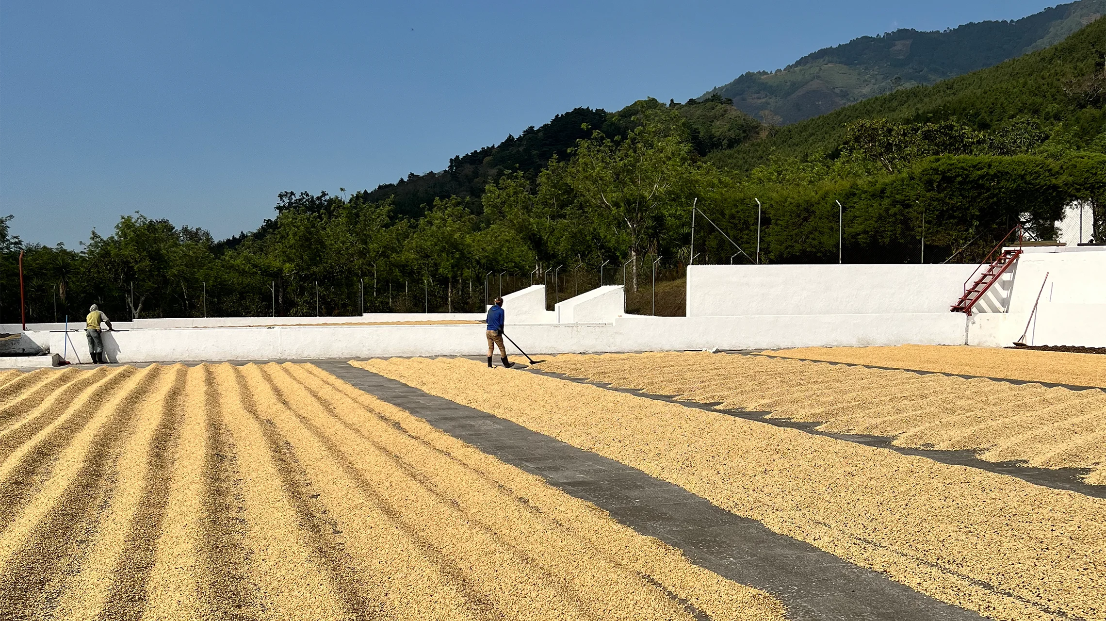 gallery-02-miscela-guatemala-omkafe