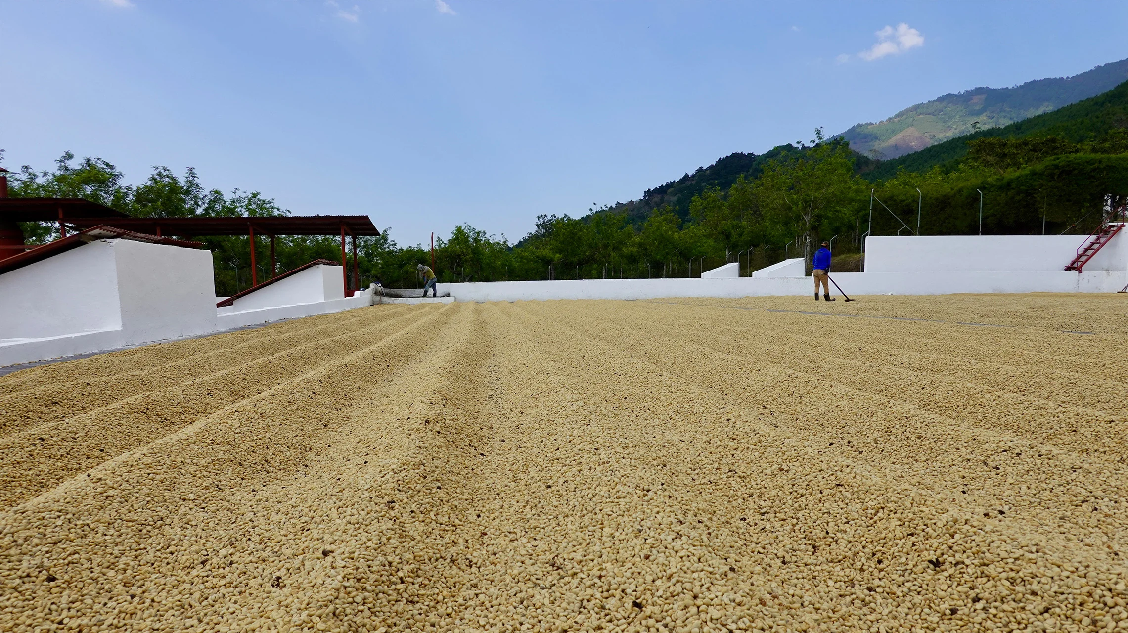 gallery-03-miscela-special-blend-omkafe